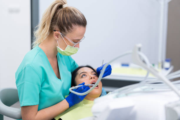 Best Emergency X-Rays and Diagnostics in Baton Rouge, LA